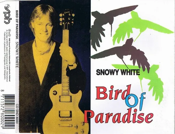 Bird Of Paradise