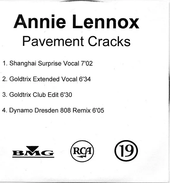 Pavement Cracks