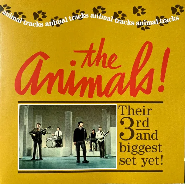 Animal Tracks