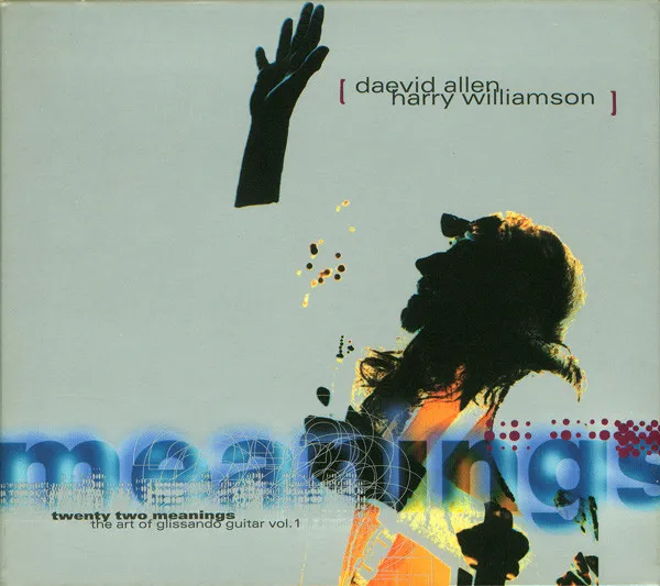 Twenty Two Meanings : The Art Of Glissando Guitar Vol. 1