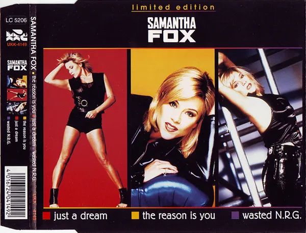 The Reason Is You / Just A Dream / Wasted N.R.G.