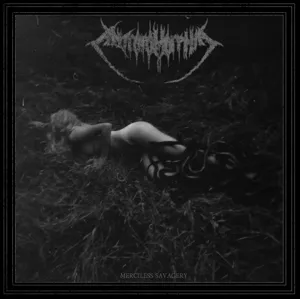 MERCILESS SAVAGERY LTD.