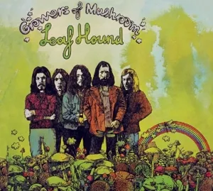 Growers of Mushroom -Digi