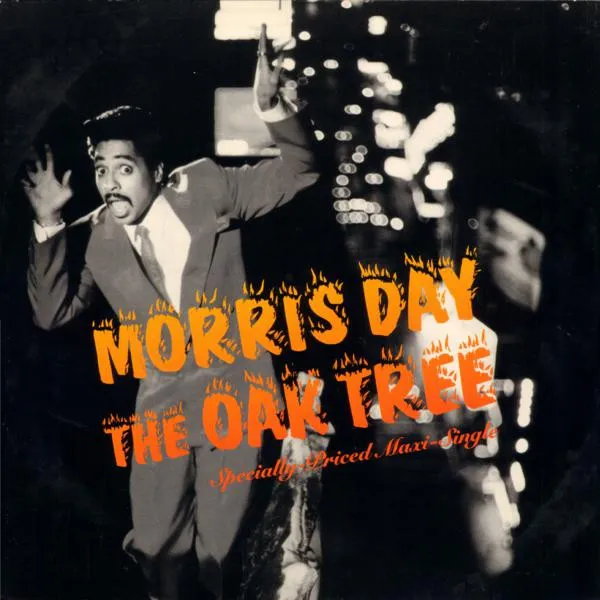 The Oak Tree