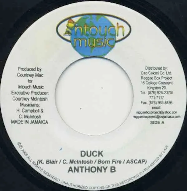 Duck / Nuh Waan See Dem