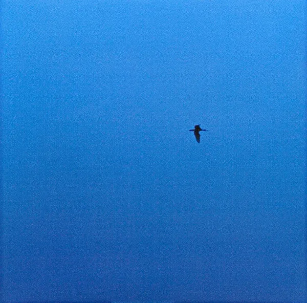 The Isle Of Wight EP